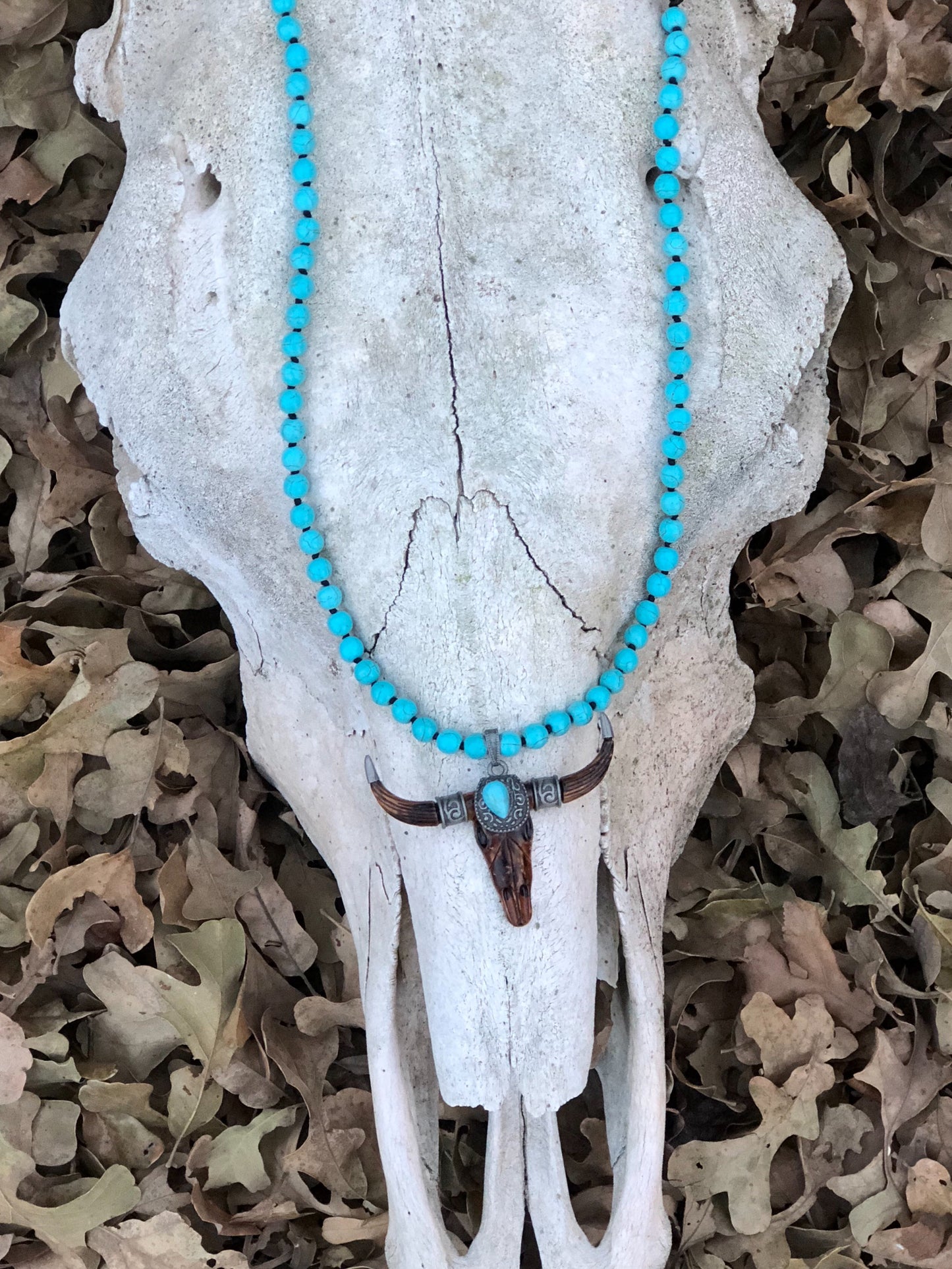 Cow Skull w/ Turquoise Necklace